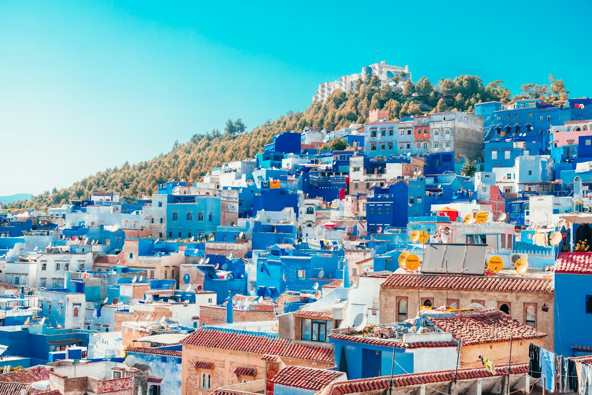 Salvador