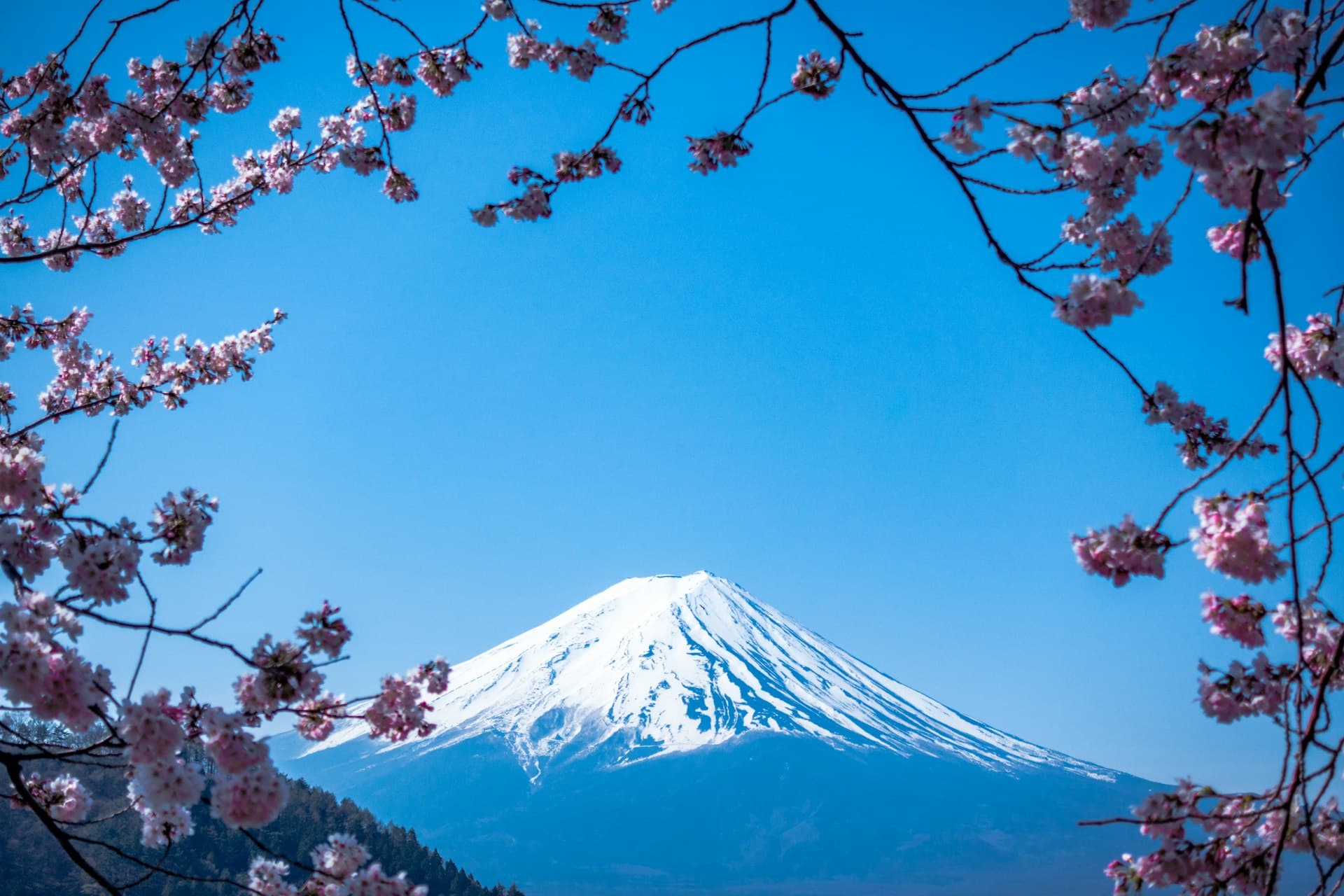 Japão