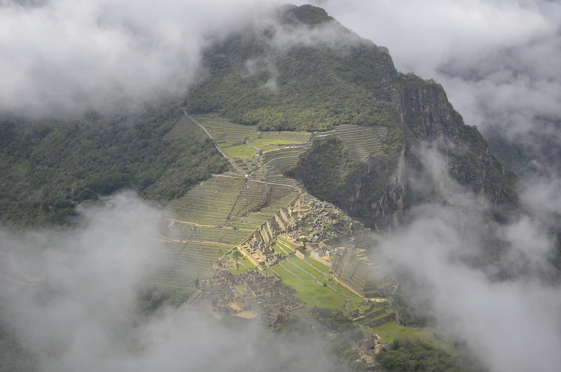 América
