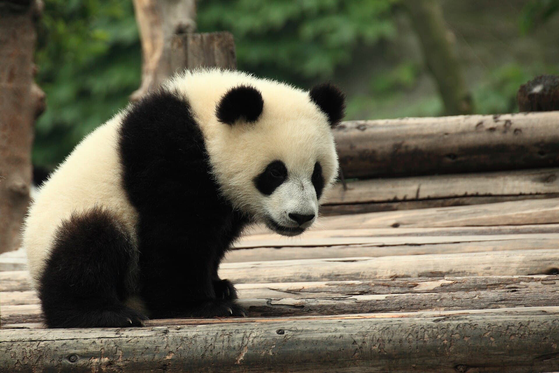 Chengdu