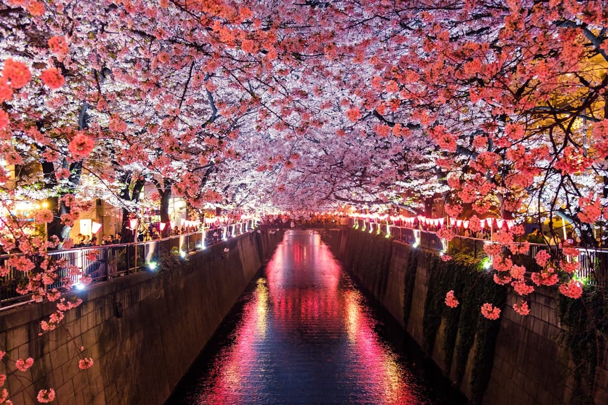 Nikko