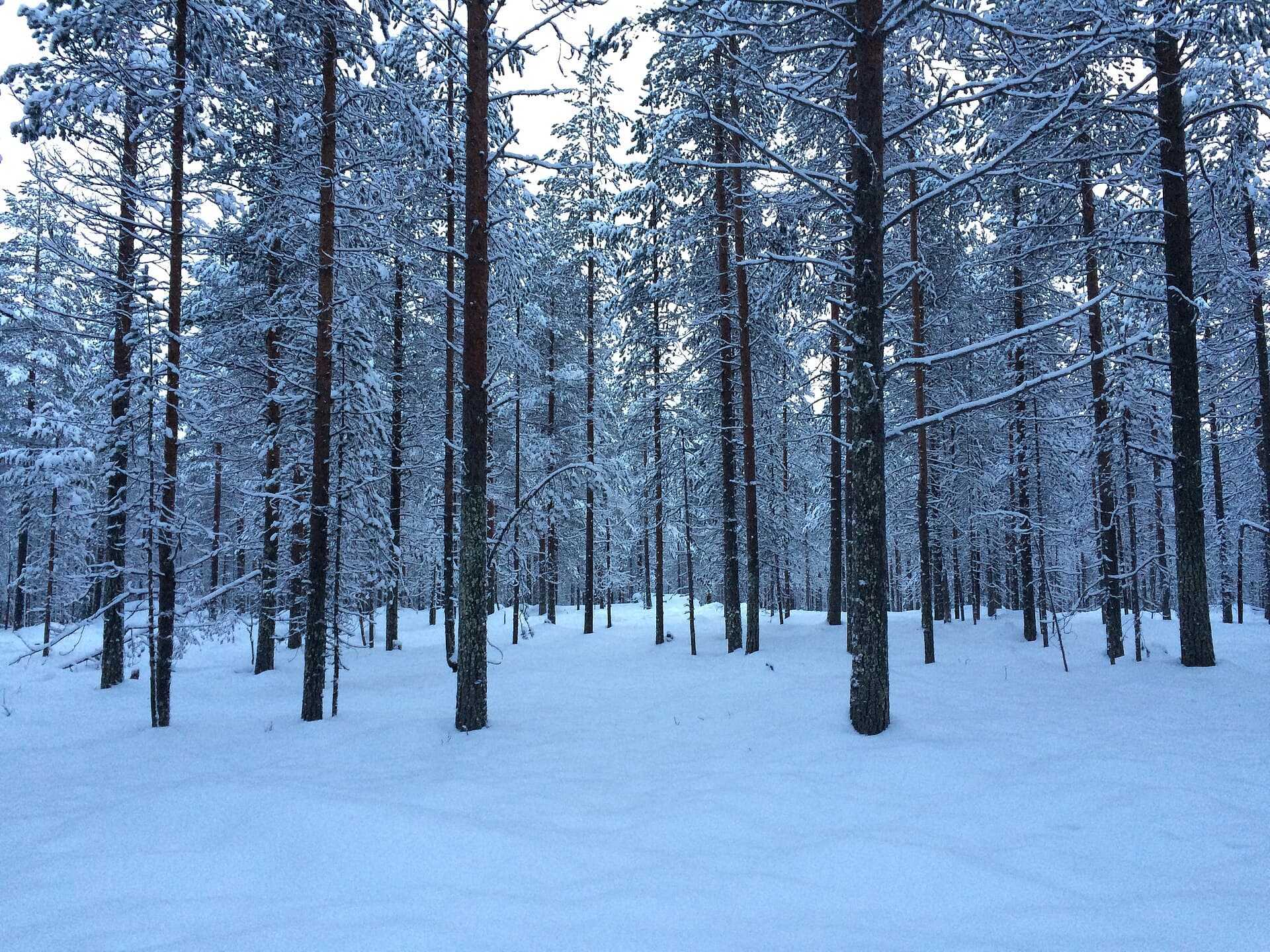 Rovaniemi